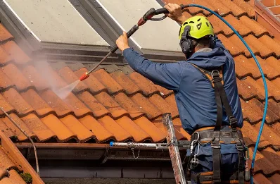 Démoussage et hydrofuge de toiture à Goult